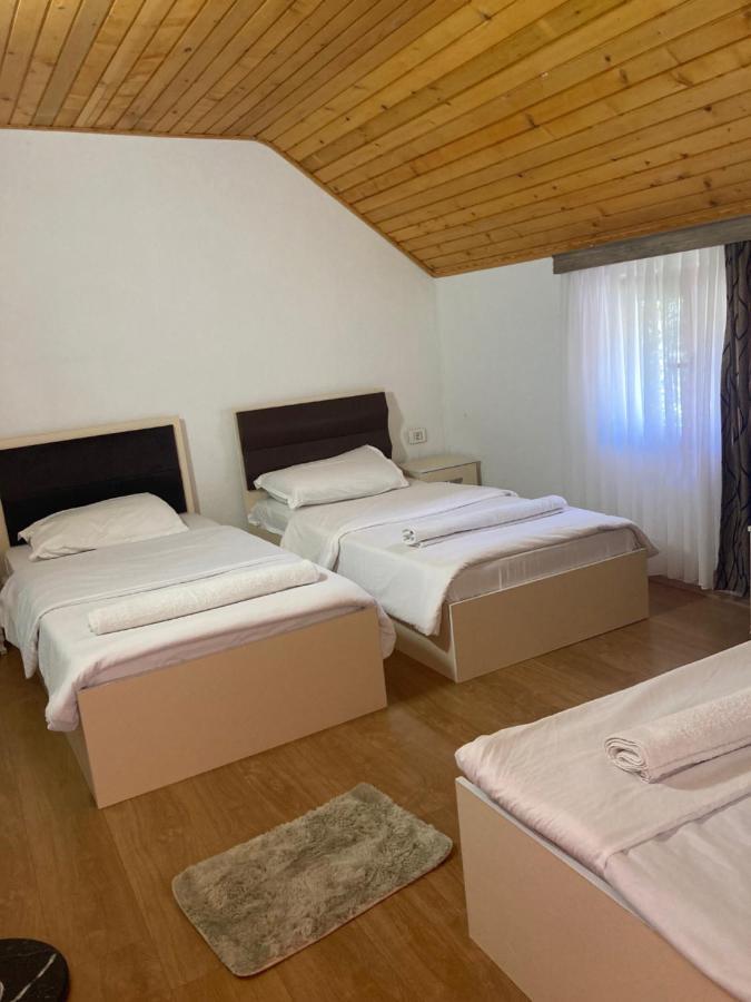 Bujtina Arturi Hotel Valbone Luaran gambar